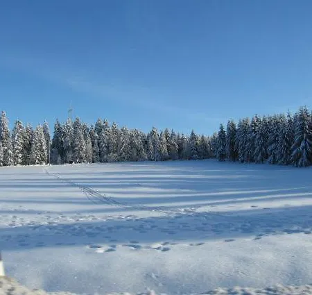 Apartament Bodehexe 2 *