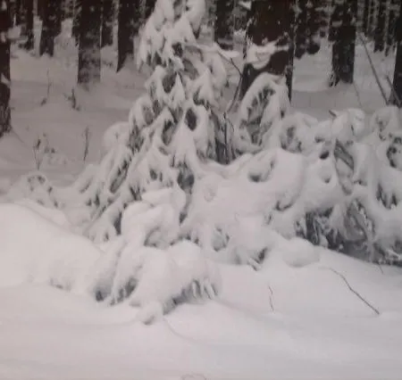 Apartament Bodehexe 2 Braunlage